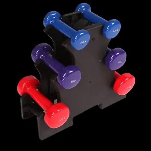 6-Piece Dumbbell Set with Rack