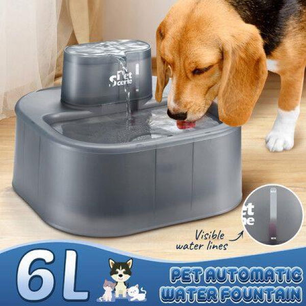 6L Automatic Pet Fountain Dog Water Dispenser Cat Drinking Feeder Bowl With Replacement Faucet Kit