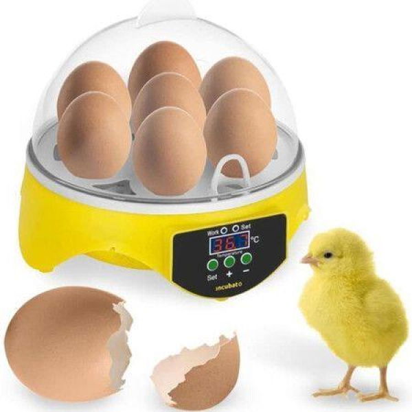 7 Eggs Incubators Hatching Eggs Temperature Control And LED Display For Chicken Duck And Goose Eggs