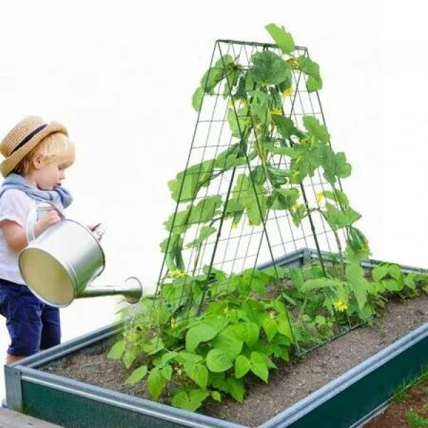 A-Frame Cucumber Trellis 46 x 32 Foldable Metal Garden Trellis