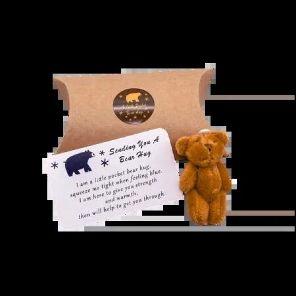 A Little Pocket Bear Hug Envelop Sending You a Bear Hug, with Pocket Hug Token Card, Emotional Support Plush Positive Gifts (Brown)