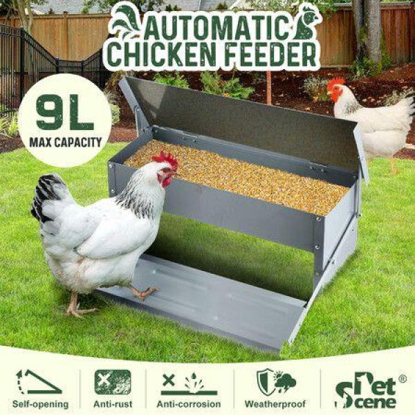 Auto Chicken Feeder Poultry Chook Food Feeding Automatic Treadle Dispenser Rat Water Proof Galvanised Steel Self Opening Coop 9L Petscene