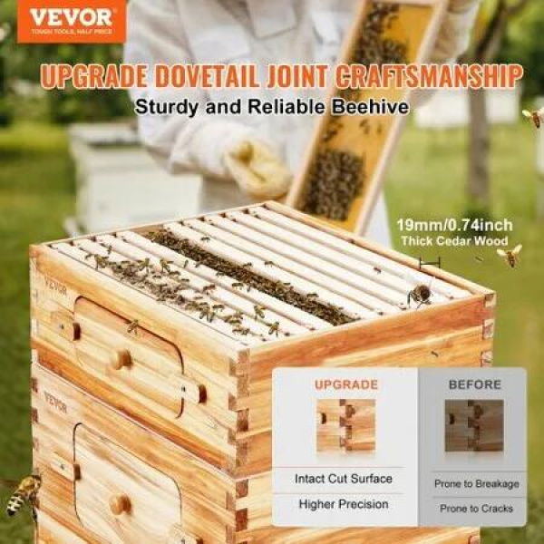 Bee Hive 30 Frame Bee Hives Starter Kit, Beeswax Coated Cedar Wood, 2 Deep + 1 Medium Bee Boxes Langstroth Beehive Kit, Transparent Acrylic Windows with Foundations for Beginners Pro Beekeepers