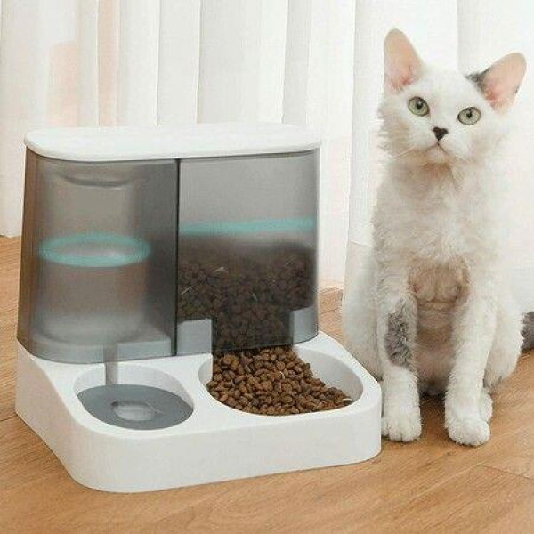 Cat Dry Food Water DispenserFood Feeder Durable For Small Medium Cats And Dogs