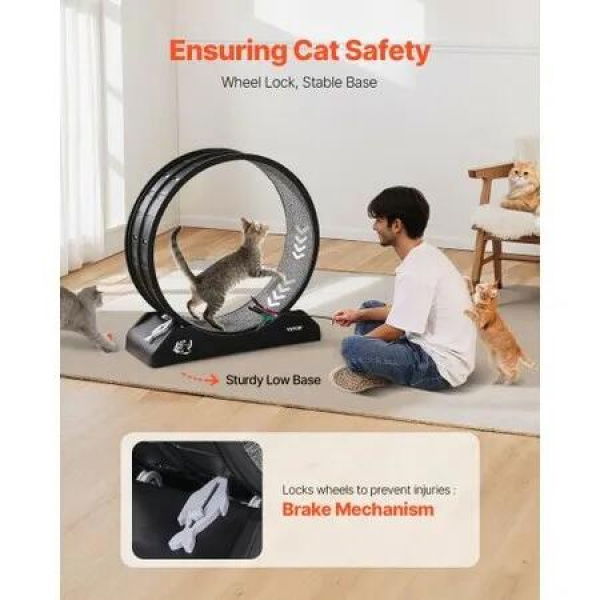 Cat Exercise Wheel 31.5 in Large Indoor Cat Running Wheel Treadmill Black