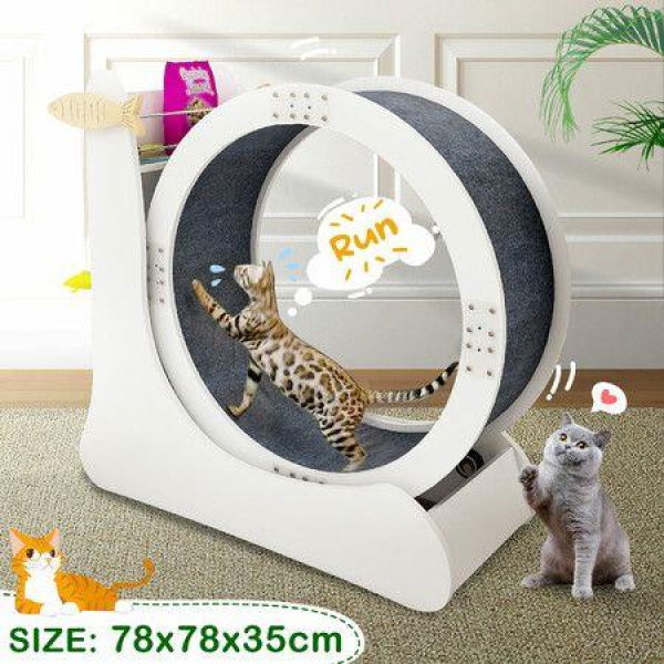 Cat Exercise Wheel Toy Running Treadmill Exerciser Scratcher Board Furniture Roller Sports Play Gym Equipment With Carpet Runway