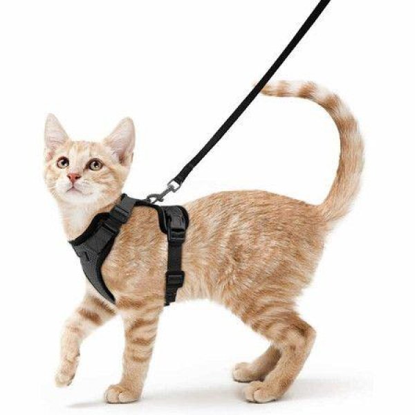Cat Harness Leash For Walking Escape Proof Soft Adjustable Easy Control Breathable Reflective Strips Jacket
