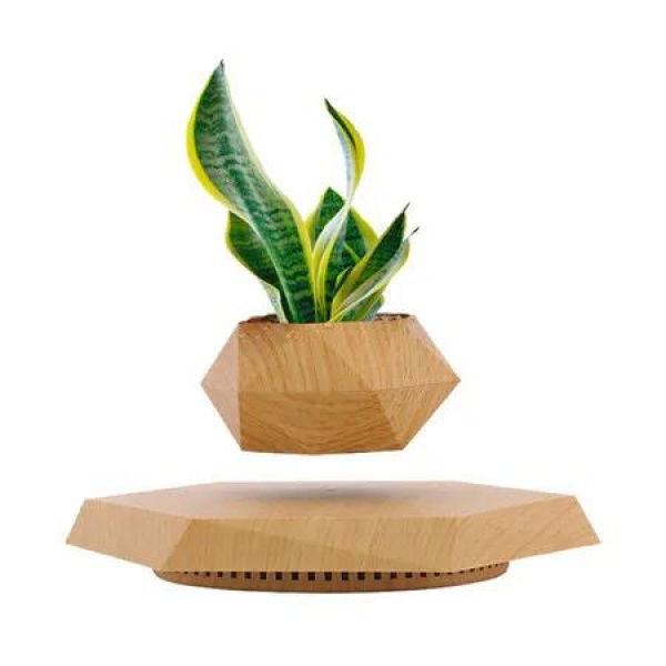 Defy Gravity Magnetic Floating Levitating Plant Pot for Small Plants in Your Home or Office(Wood)