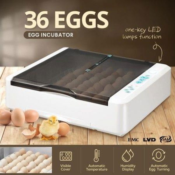 Digital Fully Automatic Egg Incubator 36-120 Eggs Poultry Hatcher Chicken Duck Bird Auto Turning