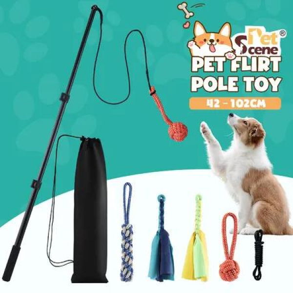 Dog Cat Toy Pet Play Interactive Flirt Pole Wand Retractable Training Exercise Tug Equipment Durable Teaser Chase Stick