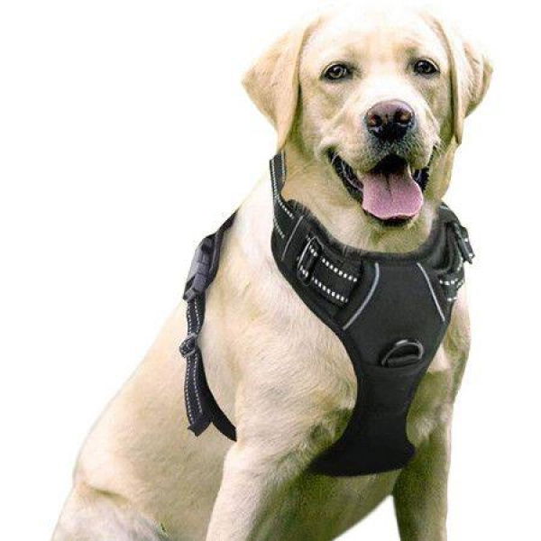 Dog HarnessNo-Pull Pet Harness With 2 Leash ClipsAdjustable Soft Padded Dog VestReflective Outdoor Pet Oxford Vest With Easy Control HandleLarge SizeBlack