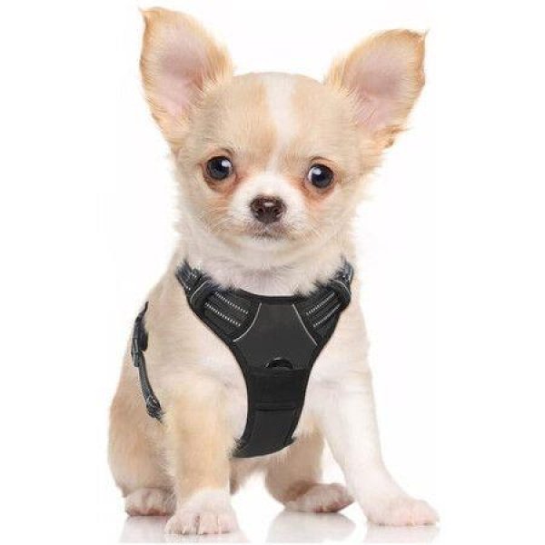 Dog HarnessNo-Pull Pet Harness With 2 Leash ClipsAdjustable Soft Padded Dog VestReflective Outdoor Pet Oxford Vest With Easy Control HandleSmall SizeBlack