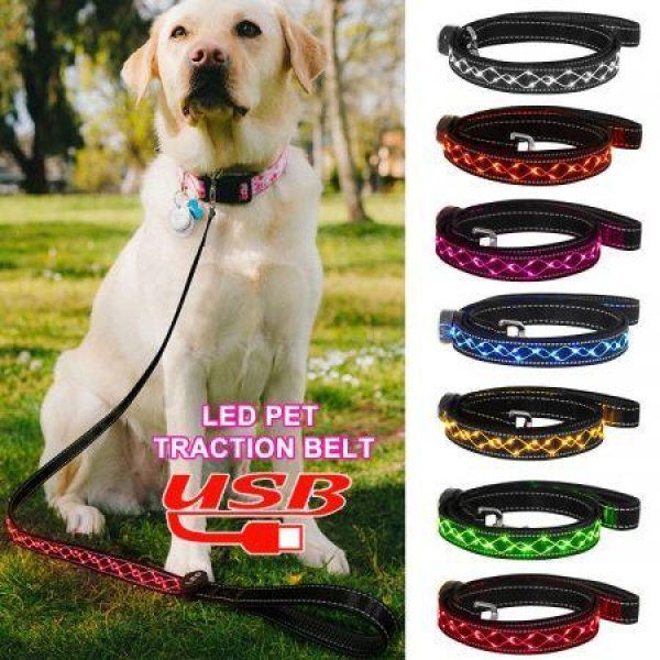 Dog LED Leash Pet Supplies