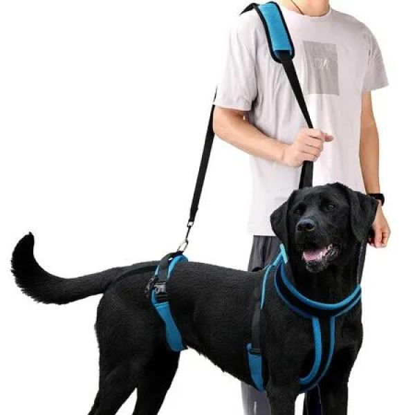 Dog Lifting Harness,Adjustable Shoulder Hip Harness with Handle and Shoulder Strap, Support Hind Legs for Elderly Dogs, Hip Dysplasia-Size M