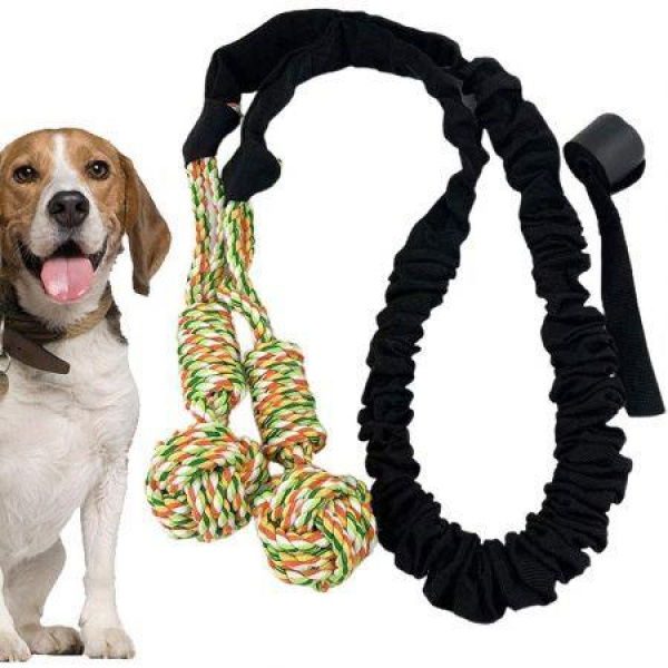 Dog Rope Toys Interactive Outdoor Dog Toys For Large Dogs Tree Or Door Hanging Installation