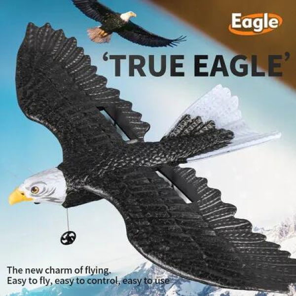 Eagle RC Airplane for Kids: Remote Control Foam Plane Glider Gift Toy for Boys