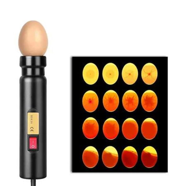 Egg Candler, LED Egg Hatching Test Light, High Intensity LED Chicken Egg Candler Mini Egg Tester Pen for Science Experiment