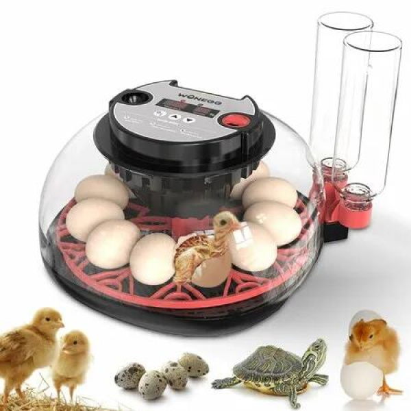 Egg Incubator Hatching Chick Automatic Turning Stop Candler Hatch Days Humidity Display Control 12 Egg Poultry