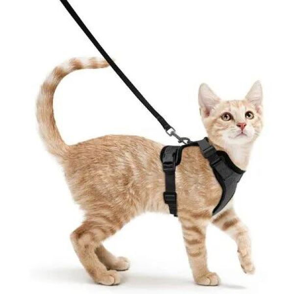 Escape-Proof Cat Harness and Leash (Size XS): Comfortable and Reflective for Safe Walking