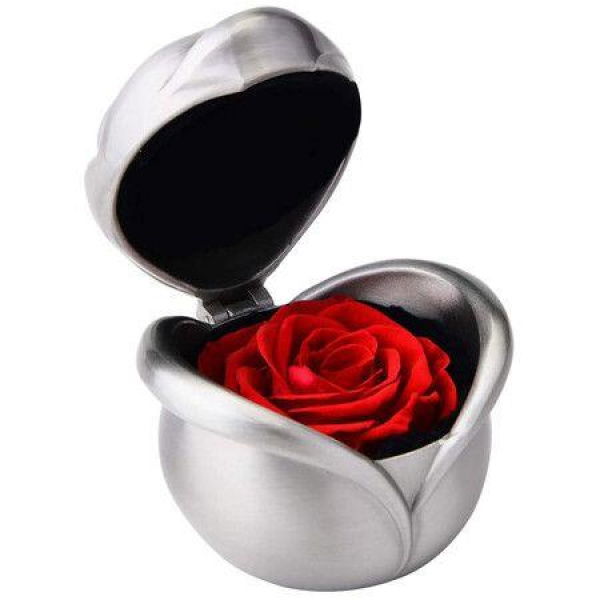 Eternal Rose Preserved Roses Never Wilted Flowers Valentines Day Wedding Anniversary (Red Rose)