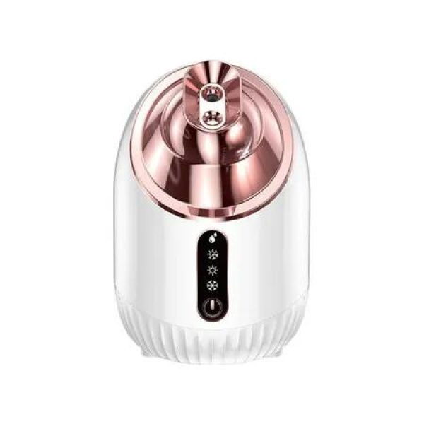 Facial Steamer - Nano Ionic Facial Steamer with Cold&Warm&Hot Mist,240ml Large Water Tank,Small Face Humidifier,White