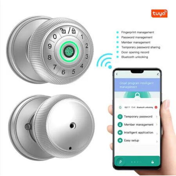 Fingerprint Door Lock,Smart Door Knob,Biometric Door Lock,with Keypad App Unlocking Keyless Entry Door Knob For Bedroom,Office Home Color Silver