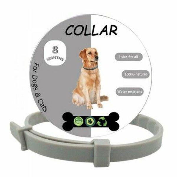 Flea and Tick Collar for Dogs 8 Months Hypoallergenic Waterproof Adjustable 65cm Dog Collar 2 Pack