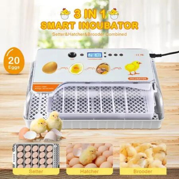 Fully Digital Automated 20 Egg Incubator with Hatching, Turning, and Candling Features for Chicken Quail Duck Poultry Bird