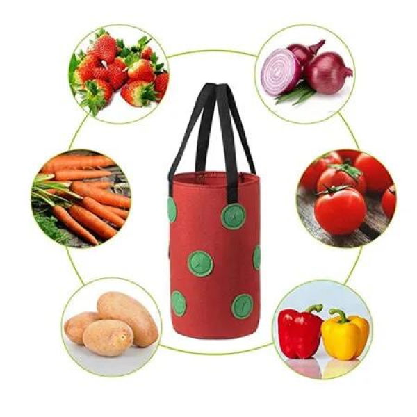 Garden Hanging Strawberry Planting Grow Bag,Upside Down Vegetable Planter with 12 Grow Holes Handle,For Tomato Chili Strawberry Fruit House Garden