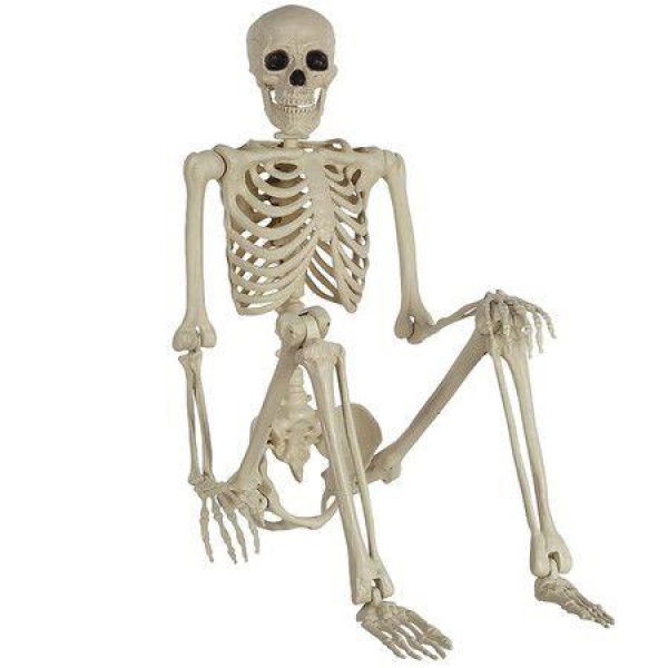 Halloween Decorations Realistic 16-Inch Faux Human Skeleton Skull Props for Haunted House Display