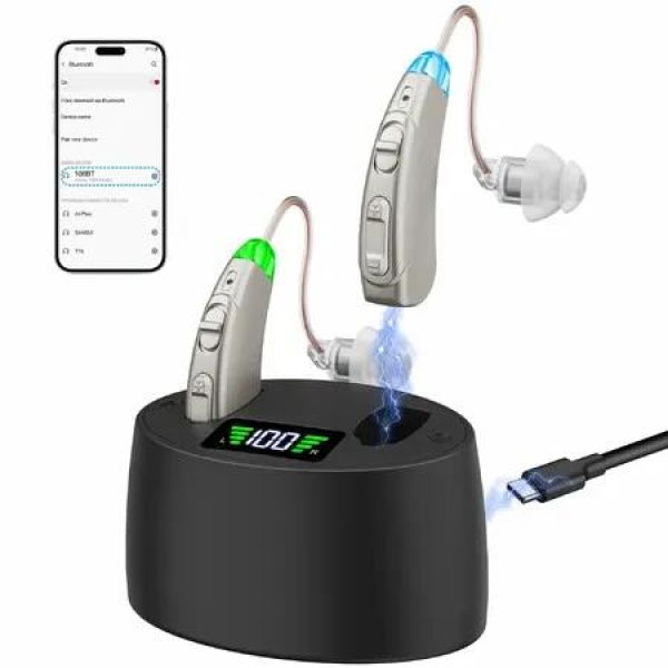 Hearing Aids for Seniors Hearing Loss, Rechargeable with Display of Remaining Charge, Devices with Noise Reduction,Silver