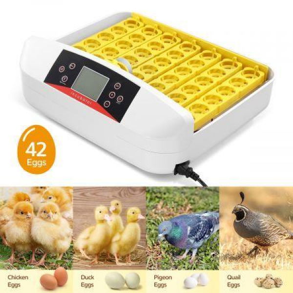 High Success Rate 42 Auto Egg Incubator Auto Turn Egg & Adjust Temp/Humidity For Chickens Ducks And Geese.