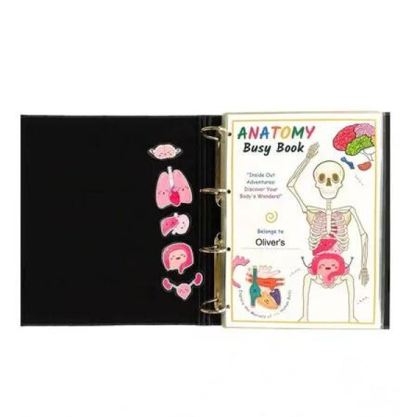 Human Anatomy Busy Book, Preschool Montessori Toys for Kids, Montessori Human Organ Match Preschool Interactive Anatomy Busy Book for Kids, Preschool Busy Book