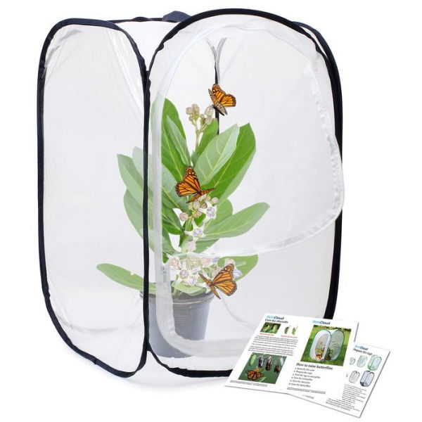 Insect And Butterfly Habitat Cage Terrarium Pop-up (Black 23.6 Inches Tall)