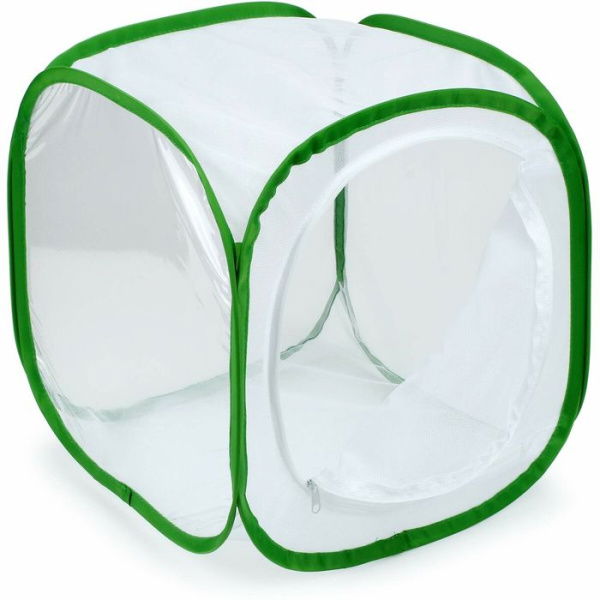 Insect And Butterfly Habitat Cage Terrarium Pop-up (Green 12 X 12 X 12 Inches)