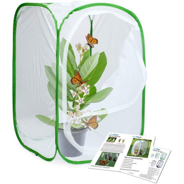 Insect And Butterfly Habitat Cage Terrarium Pop-up (Green 23.6 Inches Tall)