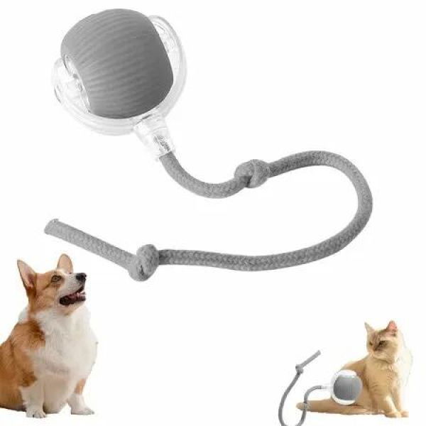 Interactive Cat Dog Ball, 360 Degree Automatic Rotating Ball with USB Charging for Cats and Dogs Color Grey