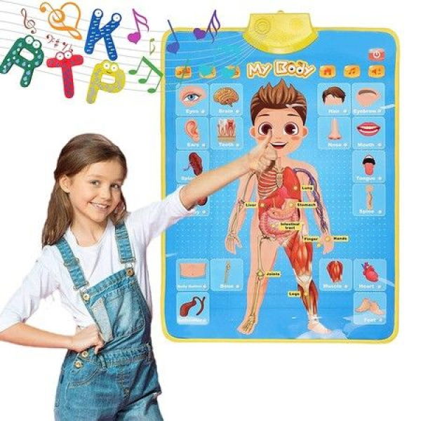 Interactive Educational Human Anatomy Talking Game Toy System To Learn Body Parts For Kids Aged 5 To 12 Years Old