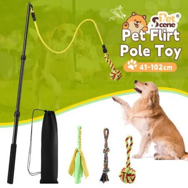 Interactive Flirt Toy Pole Dog Cat Play Wand Pet Retractable Agility Training Equipment Tug Exercise Teaser Chase Stick