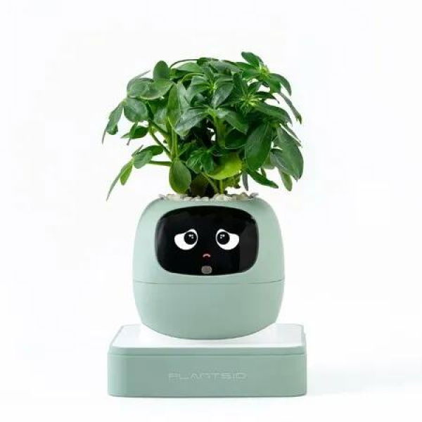 Ivy AI Smart Plant Pot with Emoji Intelligent Planter Robot for Houseplants Tamagotchi Flower Pot Stylish Plantagotchi Home Decor (Green)