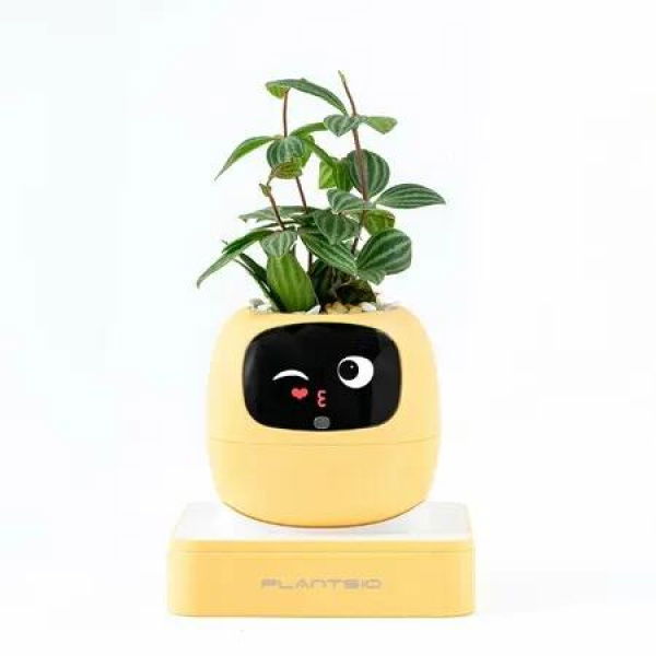 Ivy AI Smart Plant Pot with Emoji Intelligent Planter Robot for Houseplants Tamagotchi Flower Pot Stylish Plantagotchi Home Decor (Yellow)