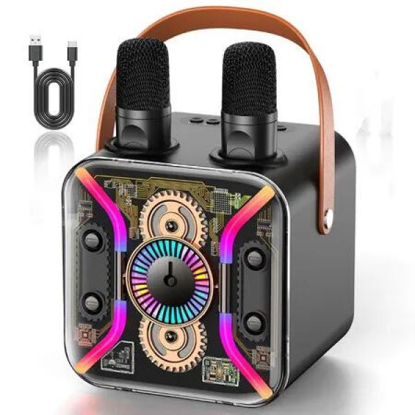 Karaoke Machine Two Wireless Microphone PA System Bluetooth Speaker Bass Treble TF Card USB AUX TV Party Birthday,Black