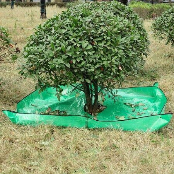 Landscape Tarp for Trimming with 12 inch Hole, Garden Tree Pruning Waterproof Tarp