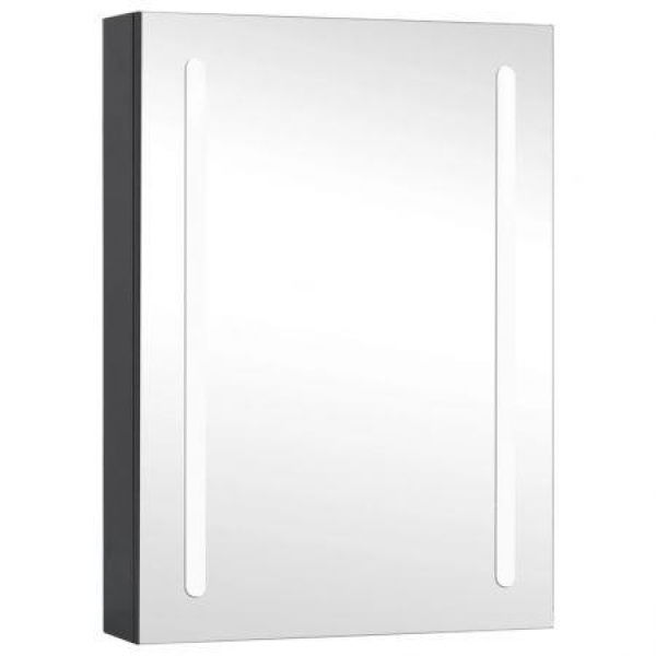 LED Bathroom Mirror Cabinet 50x13x70 Cm