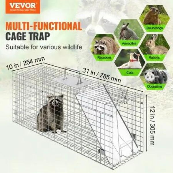 Live Animal Cage Trap, 31' x 10' x 12' Humane Cat Trap Galvanized Iron, Folding Animal Trap with Handle for Rabbits, Stray Cats, Squirrels, Raccoons, Groundhogs and Opossums