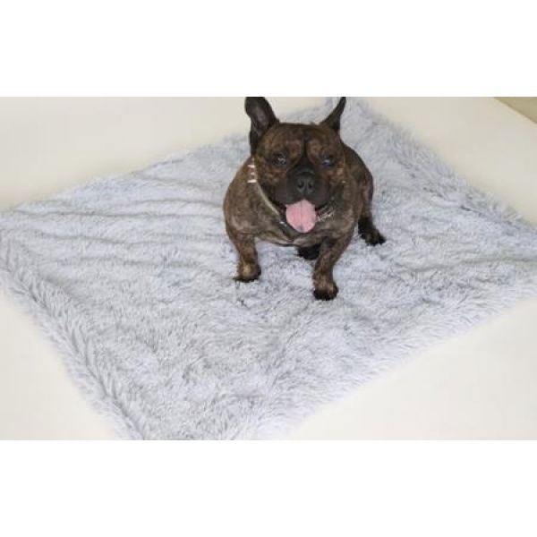 Long Fleece Pet Mat Double-layer Pet Blanket Golden Hair For Large And Small Dogs. Dog Mat And Cat Blanket Warm And Comfortable. Size: 100*75CM.