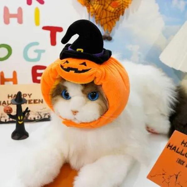 M Size Pet Hat Halloween Funny Pumpkin Hat Ideal For Halloween And Everyday Wear