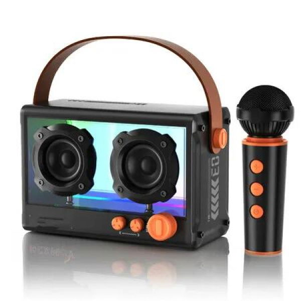 Mini Karaoke Machine with Bluetooth and Wireless Microphone, Karaoke Speaker for Home Party, Outdoor Camping, Christmas Birthday Gifts (Black)