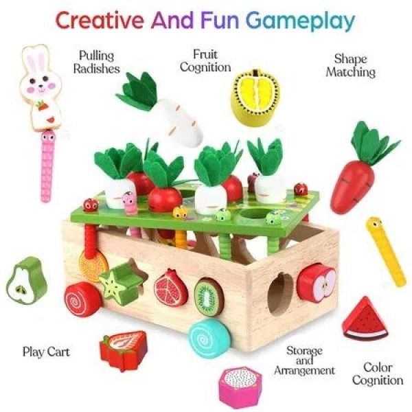 Montessori Educational Wooden Toys for Baby Boys Girls Shape Sorting Toys Gifts for 3+ Year Olds Fine Motor Skills Game