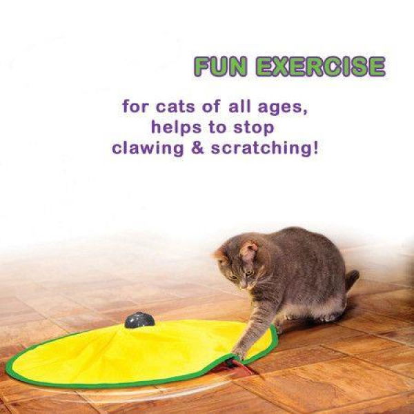 Motorized Wand Cat Toy 4 Speed Settings The Toy Your Cat Cant Resist